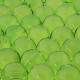 Badparels - Kleur GROEN