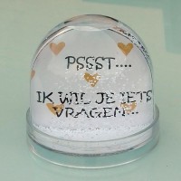 Schudbol  ' PSSST... Ik wil je iets vragen: Wil je Mijn Meter Zijn? '