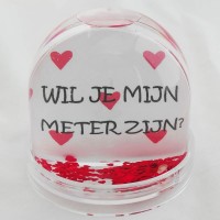 Schudbol  ' PSSST... Ik wil je iets vragen: Wil je Mijn Meter Zijn? '