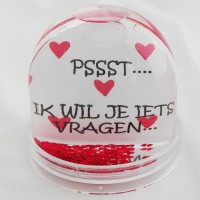 Schudbol  ' PSSST... Ik wil je iets vragen: Wil je Mijn Meter Zijn? '