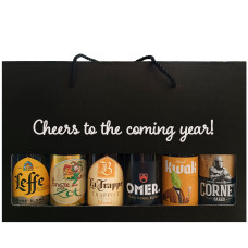 Bierpakket Blond Bier: Cheers to the coming year! (6 flesjes) -  Geschenkdoos